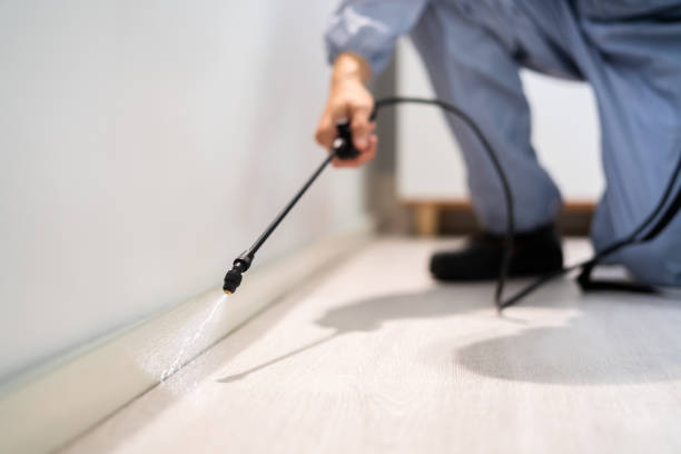 Licensed Mosquito Control service in New Brunswick, NJ - Show Me Pest Control