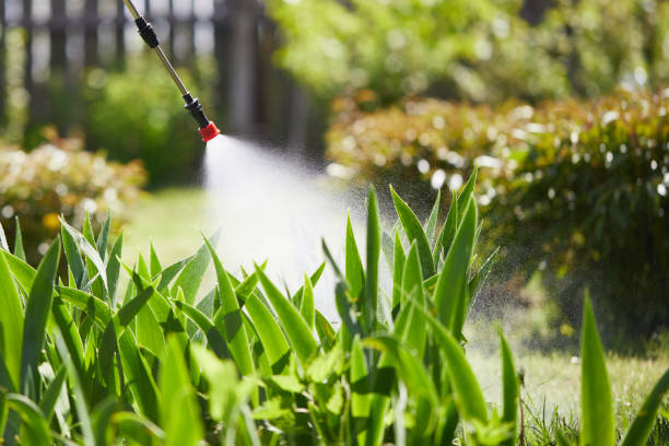 24/7 Emergency Mosquito Control experts in New Brunswick, NJ