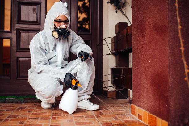 Reliable Mosquito Control contractor in New Brunswick, NJ by Show Me Pest Control