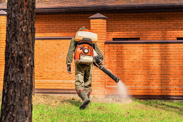 Top rated local Mosquito Control specialists in New Brunswick, NJ